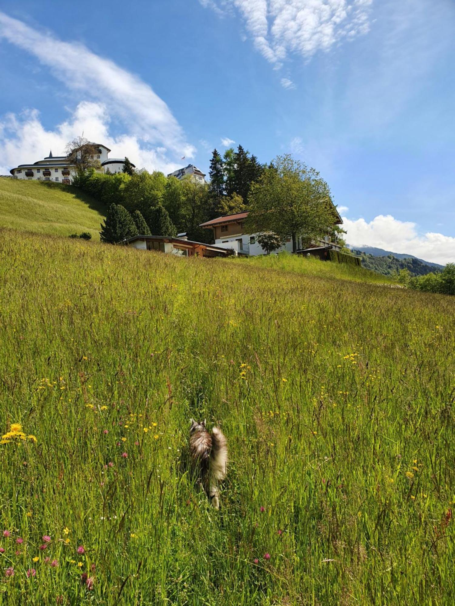 Pension Schlossberg Mittersill Kültér fotó